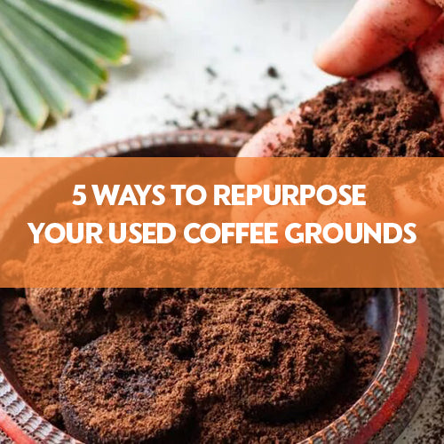 5 WAYS TO REPURPOSE YOUR USED COFFEE GROUNDS