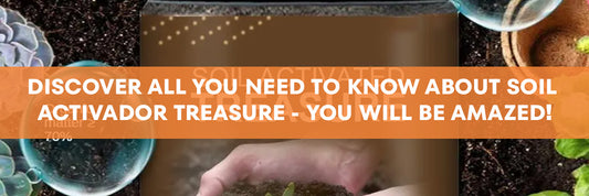 Discover All You Need To Know About Soil Activador Treasure -You Will Be Amazed!