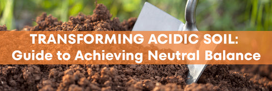 Transforming Acidic Soil: A Comprehensive Guide to Achieving Neutral Balance