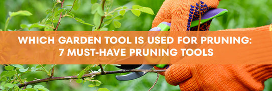 Which Garden Tool Is Used For Pruning: 7 Must-Have Pruning Tools