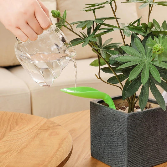 Why It’s a Good Idea to Have a Watering Funnel for Plants