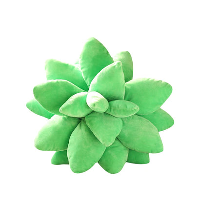 Succulent Plant Cushion