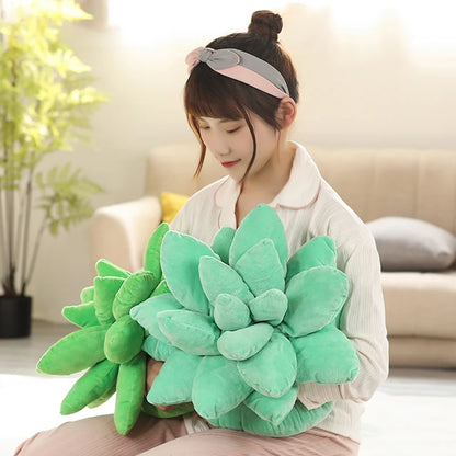 Succulent Plant Cushion