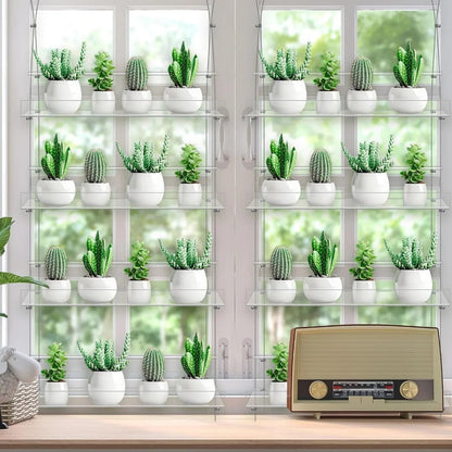 Acrylic Plant Shelf Window