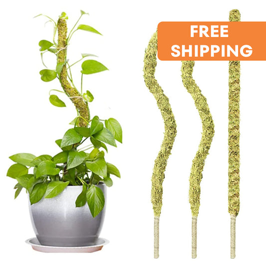 NATURAL MOSS POLE FOR POTHOS