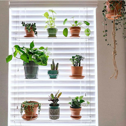 Plant Shelf For Window
