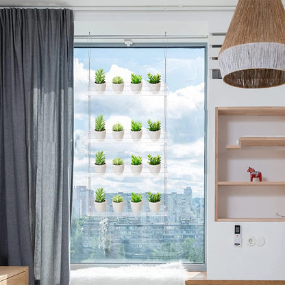 Plant Shelf Window