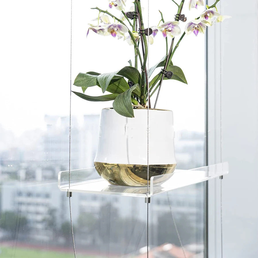 Plant Shelf Window