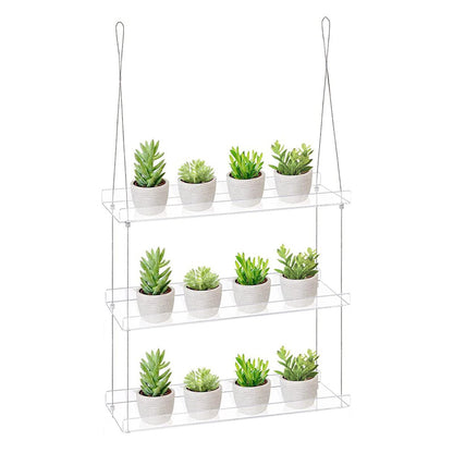 Plant Shelf Window