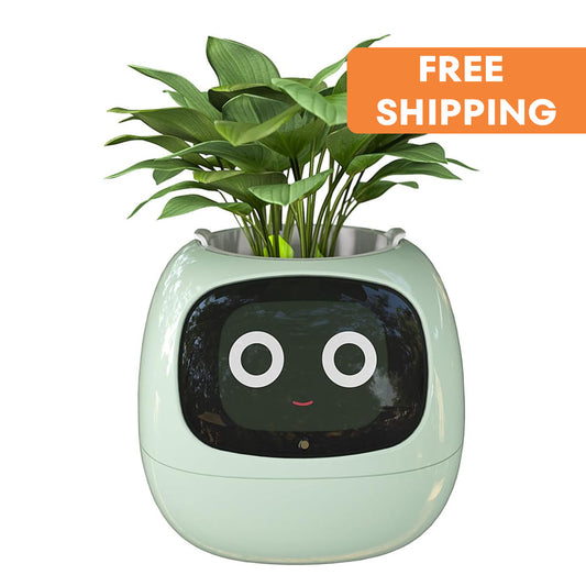 SMART FLOWER POT WITH FACE AND EMOTIONS