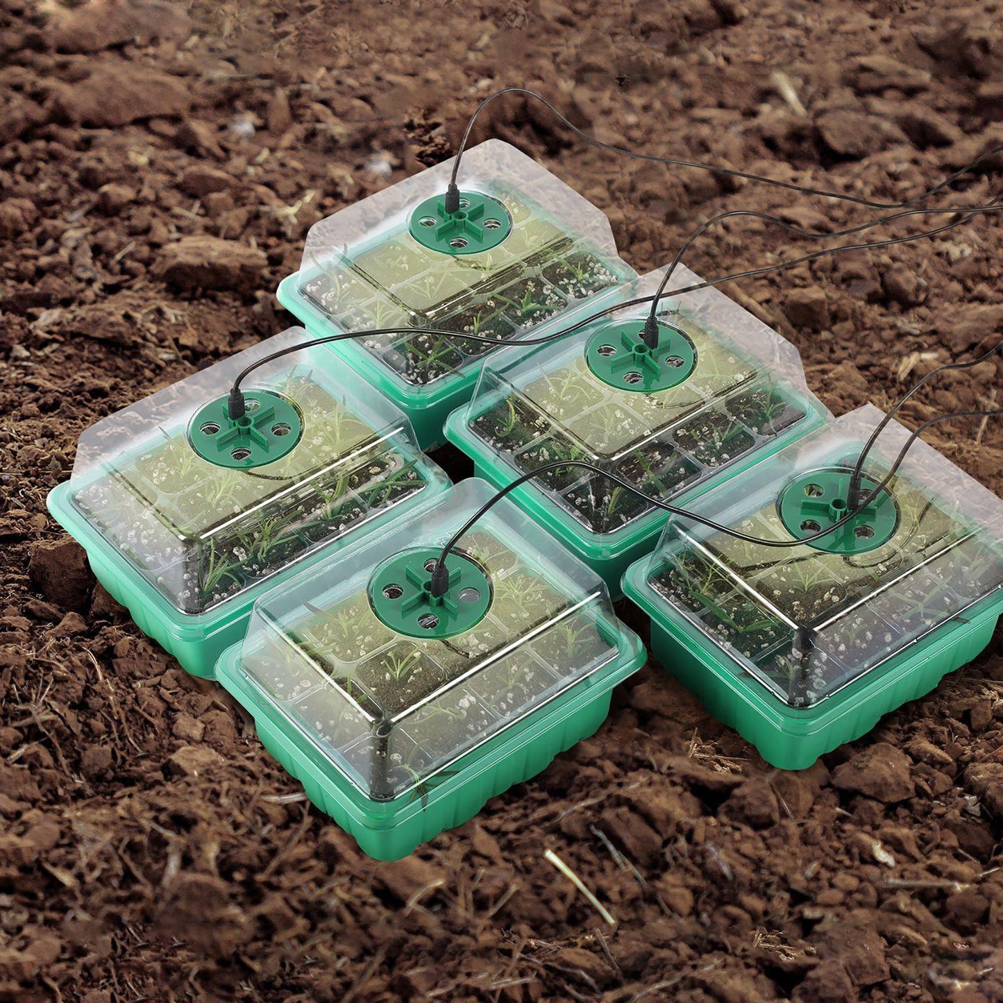 GERMINATION BOX WITH SQUEEZE BOTTLE SHOVEL